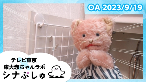 シナぷしゅ