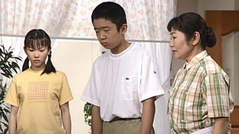 渡る世間は鬼ばかり 第4シリーズ(橋田壽賀子ドラマ) 1999年放送