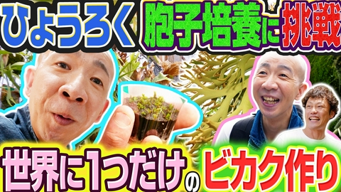 変態植物倶楽部 胞子培養の変態・植木屋GREENPLAZA21
