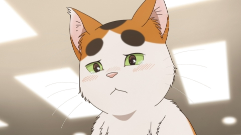 となりの妖怪さん 第11話