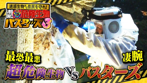 迷惑生物から住民を守れ！凄腕！危険生物バスターズ 迷惑生物から住民を守れ！凄腕！危険生物バスターズ3