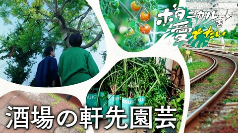 ボタニカルを愛でたい 蒲田