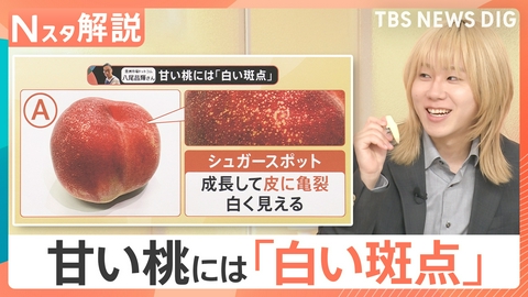 TBS NEWS DIG Powered by JNN 「桃」をおいしく楽しむヒント！【Nスタ】