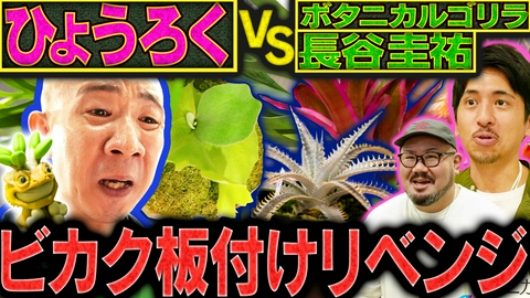 変態植物倶楽部 植物フェスに潜入！レプタイルズフィーバー×変態植物倶楽部FES
