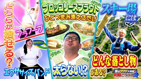 巷のウワサ大検証！それって実際どうなの会 ひと摘まみで驚き効果の野菜？スキー場の落とし物