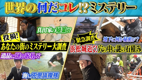 珍妙な石 なんだこれは 珍妙な石 なんだこれは 謎の石？