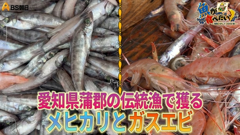 魚が食べたい！ ～地魚さがして3000港～ トリガイ漁にメヒカリ漁！いつ帰れるかわからない!?