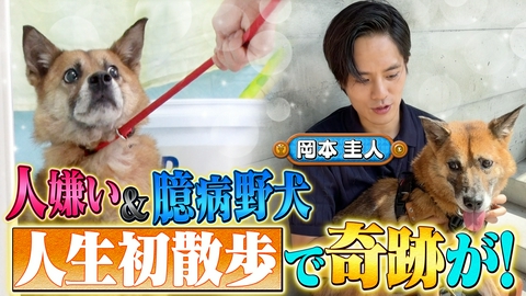 坂上どうぶつ王国 10年繋がれた放置された犬・・・感動実話