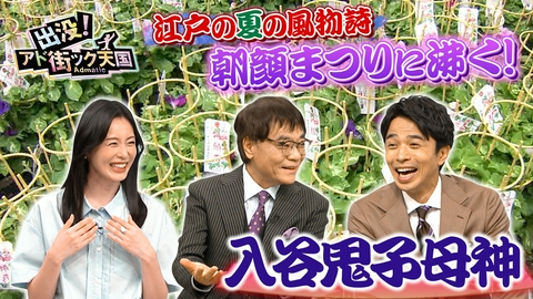 出没！アド街ック天国 【入谷・鬼子母神】上野＆浅草に囲まれた昭和の光景が残る下町