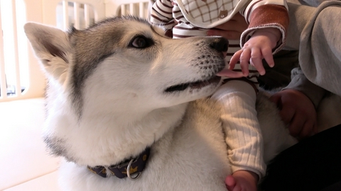 いぬじかん 「子どもが生まれたら犬を飼いなさい」ワンコが教えてくれることとは