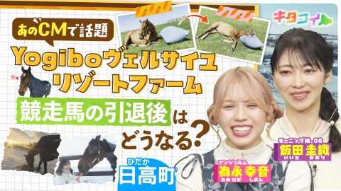 キタコイ 飯田圭織、引退馬のその後に迫る
