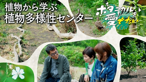 ボタニカルを愛でたい 植物多様性センター