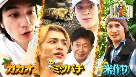 ザ！鉄腕！DASH!! 福島の米を守る(秘)大作戦&新宿ミツバチが暑さで大ピンチ!