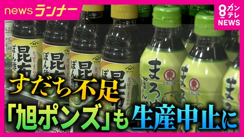 newsランナー 深刻な“すだち不足”で「旭ポン酢」が生産停止　対策しなければ2050年には「収穫ゼロ」に!?　激減の原因は…？一大産地“徳島”の異変を徹底取材