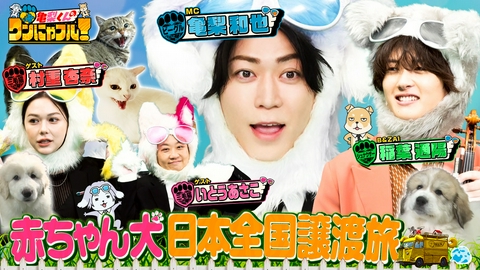 亀梨くんのワンにゃフル！ MC：亀梨和也！日本全国赤ちゃん犬譲渡旅＆なぜ秘島で猫保護？ドクター離島