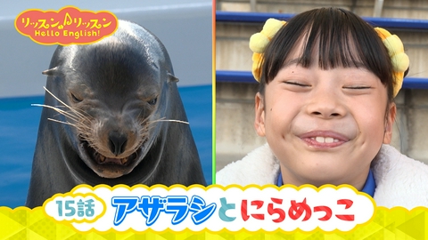 リッスン♪リッスン Hello English！ ♪１５　アザラシとにらめっこ