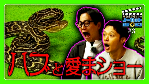 ノーカットホテイソン シーズン４＃３　毒ヘビ「ハブ」と遭遇　たけるに「厳重注意」