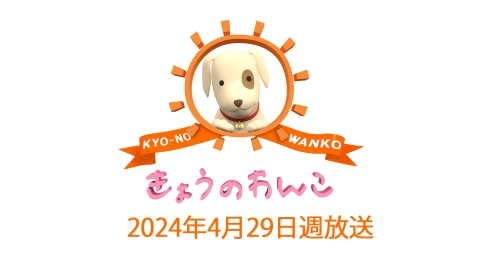 きょうのわんこ 2024/4/29週放送 ｜バラエティ｜見逃し無料配信はTVer