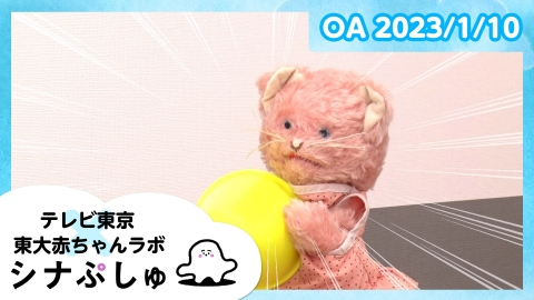 シナぷしゅ