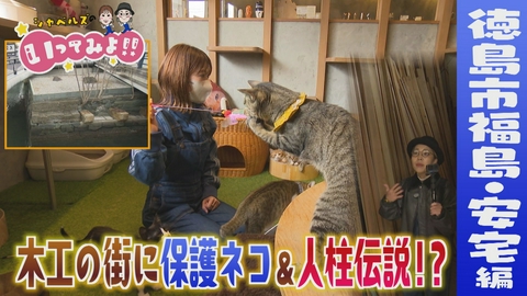 シャベルズのいってみよ!! 徳島市福島・安宅編