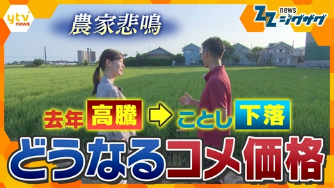 サタデーLIVE ニュース ジグザグ スーパーのコメの平均価格がきのう発表され、５キロ３３００円台に下落した。去年の「令和のコメ騒動」から一転、ことしはコメ余りから下落が続いている。今後、新米の価格はどうなるのか？みんなが納得するコメの価格とは。そこでコメ農家を緊急取材、「ことしは収穫しないかもしれない」という苦悩の声を聞いた。【ニュース ジグザグ】
