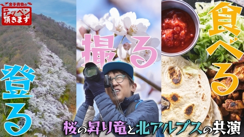 金子貴俊のテッペン頂きます #24 光城山・長峰山～桜の昇り竜＆北アルプスの共演～