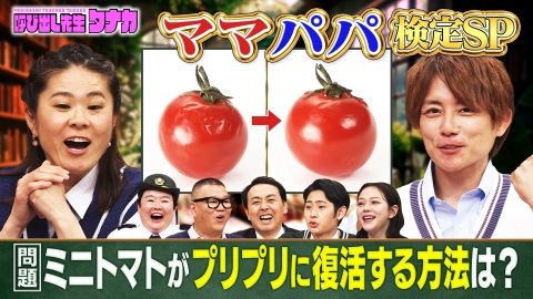 呼び出し先生タナカ 国民栄誉賞ママ澤穂希vs4児のパパ杉浦太陽！家事の裏技検定