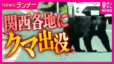 newsランナー 関西でクマの目撃情報相次ぐ　市街地で遭遇する可能性は？　専門家は「この時期は活発になる」と指摘