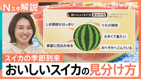 TBS NEWS DIG Powered by JNN おいしいスイカの選び方【Nスタ】