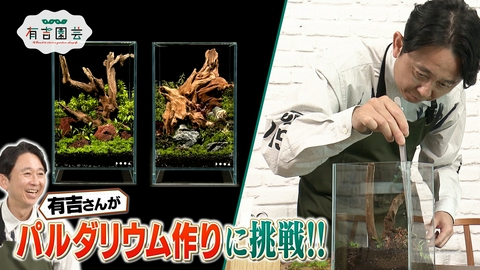 夢が咲く 有吉園芸～Road to start a garden shop～ ケースの中に自然を再現するパルダリウムに挑戦