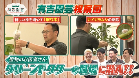 夢が咲く 有吉園芸～Road to start a garden shop～ 3000鉢を管理!?グリーンドクターのハウスに潜入！