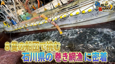 魚が食べたい！ ～地魚さがして3000港～ 船が沈むほど！？大船団の巻き網漁に密着！