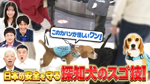 知識の扉よ開け！ドア×ドア クエスト 成田空港の税関検査場に密着！