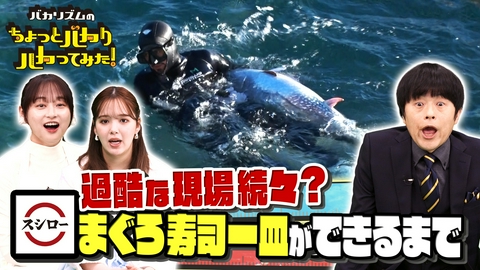 バカリズムのちょっとバカりハカってみた！ スシローのマグロ過酷漁業に徹底密着＆全員絶叫の超過酷な学校