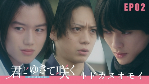 君とゆきて咲く～新選組青春録～ DVD-BOX〈6枚組〉〈新品未開封〉 ドラマ 君とゆきて咲く～新選組青春録～ DVD-BOX 前田拳太郎 奥