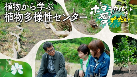 ボタニカルを愛でたい 植物多様性センター