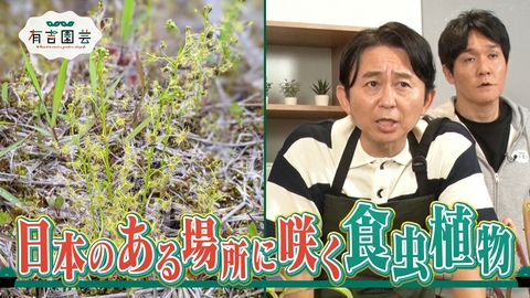夢が咲く 有吉園芸～Road to start a garden shop～ 驚きの生態！世界の食虫植物