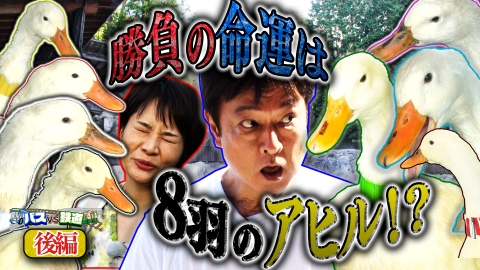 旅バラ 【後半】バスVS鉄道乗り継ぎ対決旅 熊本・大分湯めぐりSP！阿蘇くまもと空港～宇佐神宮