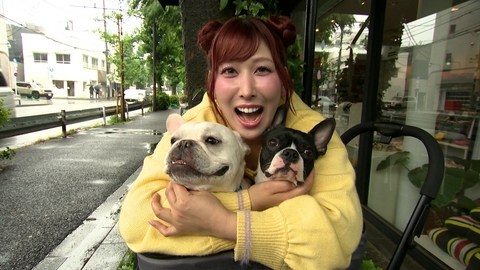 いぬじかん 大人気ドーナツ店のワンコドーナツを実食！愛犬のベストショットを拝見