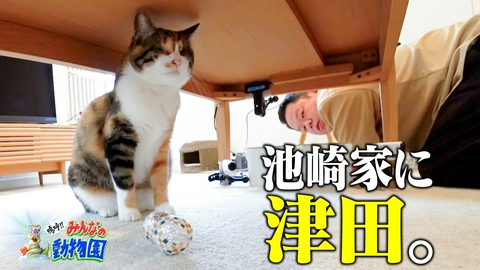 嗚呼!!みんなの動物園 池崎家にダイアン津田&花*花おの家に猪俣周杜!