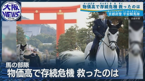 TVOやさしいニュース特集 馬のおまわりさん “京都・平安騎馬隊” 存続の危機…支えたのは全国の支援!