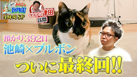 嗚呼!!みんなの動物園 サンシャイン池崎&ブルボン譲渡会参加！最終回SP