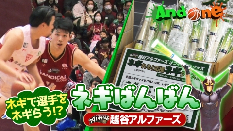 Bリーグ 越谷アルファーズ 選手直筆サイン入り ネギばんばん 数量限定 バスケ Bリーグ 越谷アルファーズ 選手直筆サイン入り ネギばんばん 数量限定