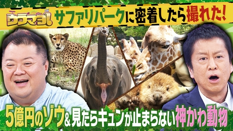 ウラマヨ！ #796　人気スポットに密着できるだけ24時