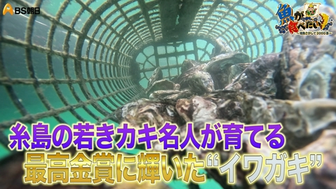 魚が食べたい！ ～地魚さがして3000港～ 玄界灘のサワラ漁と若き名人のカキ養殖に密着！