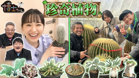 サンドウィッチマン＆芦田愛菜の博士ちゃん おウチに置きたい！珍奇植物SP