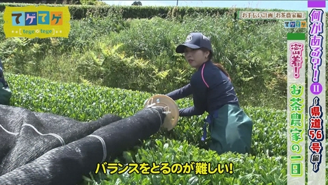 てゲてゲ 「県道５６号の旅」「お手伝い計画」