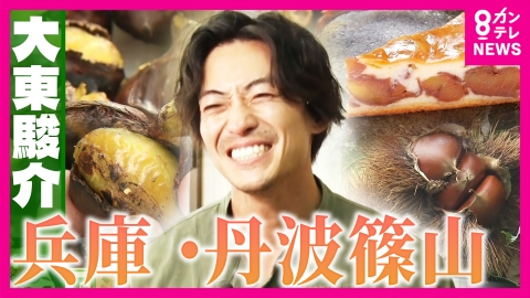大東駿介の発見！てくてく学 極上イノシシ肉に感動！天皇陛下も訪問された「ぼたん鍋」名店＆和栗の王様「丹波栗」