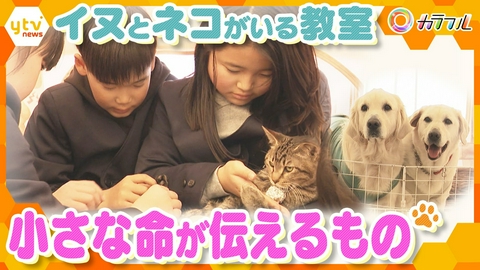 厳選！ytvニュース特集 出会いと別れ…「動物介在教育」で育む児童の心　教科書に載っていない”学び”で命と向き合う【かんさい情報ネット ten.特集/カラフル】