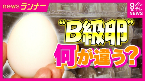 newsランナー 訳アリ「B級卵」が卵価格高騰で人気　30個入り650円の“ちょい割れ卵”　物価高はさらに進むリスクも